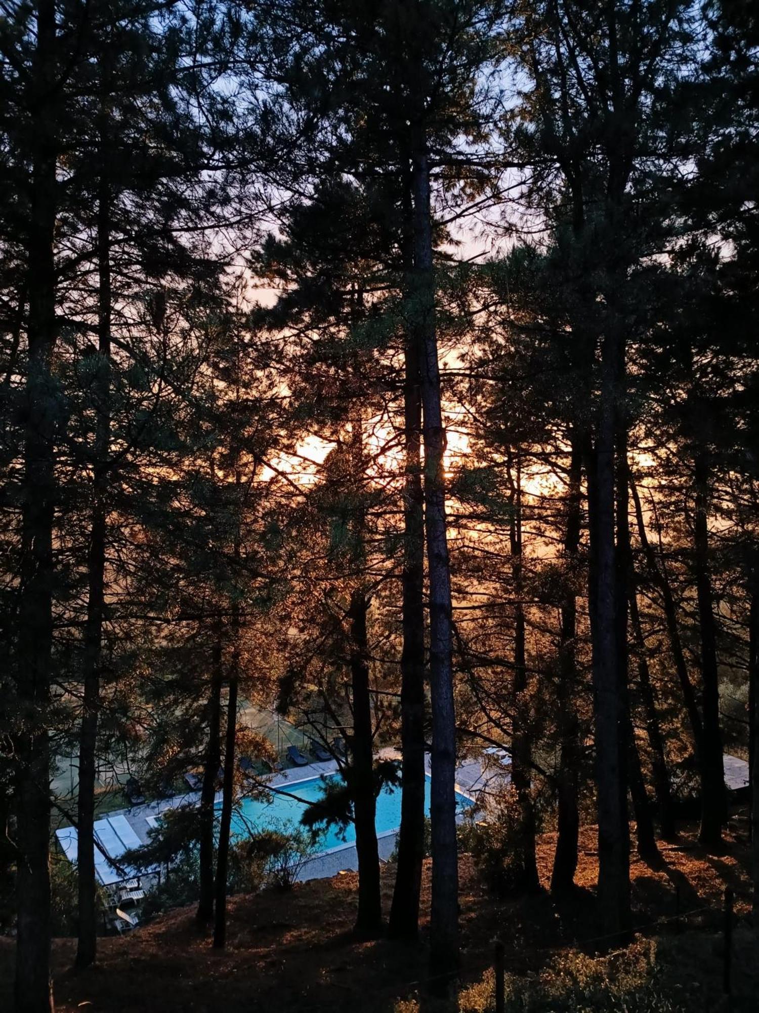 Locanda Di Praticino Rufina Εξωτερικό φωτογραφία